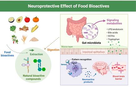 说明: 图文摘要